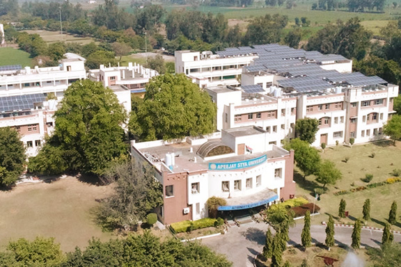 Apeejay Stya University 1 university